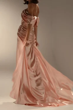 Anisa Long Dress In Seashell