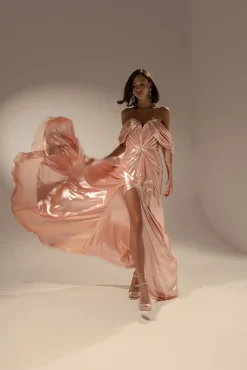 Anisa Long Dress In Seashell