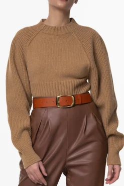 Jophiel Wool and Cashmere-blend Sweater In Rhum